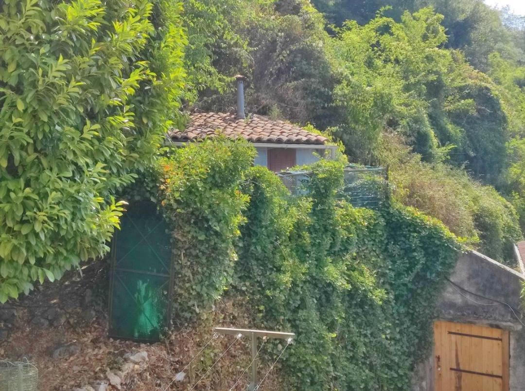 Hebergements Entiers Two Homes T1 Bas Or T1 Haut -Aux Terrasses Du Pech Foix Bagian luar foto