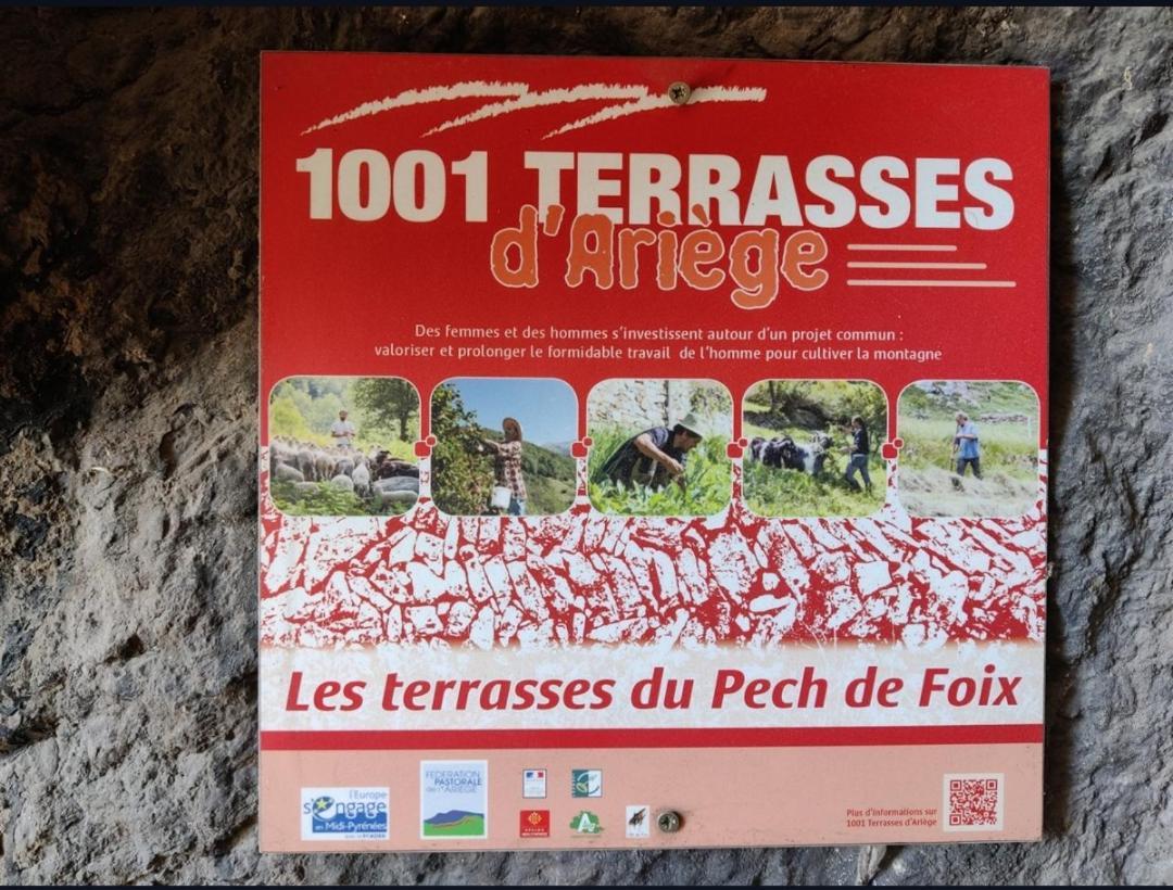 Hebergements Entiers Two Homes T1 Bas Or T1 Haut -Aux Terrasses Du Pech Foix Bagian luar foto